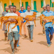 Qurban Kambing Premium (25kg)