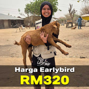 Qurban Kambing Rahmah (18kg)