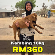 Qurban Kambing Rahmah (18kg)